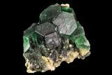 Black Tourmaline (Schorl) Encased in Fluorite - Namibia #93700-2